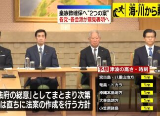 皇族数確保へ“2つの案” 各党・各会派が意見表明へ (2026年6月8日掲載)|日テレNEWS NNN